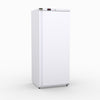 600L Upright Single Door Light-Duty Ventilated Freezer